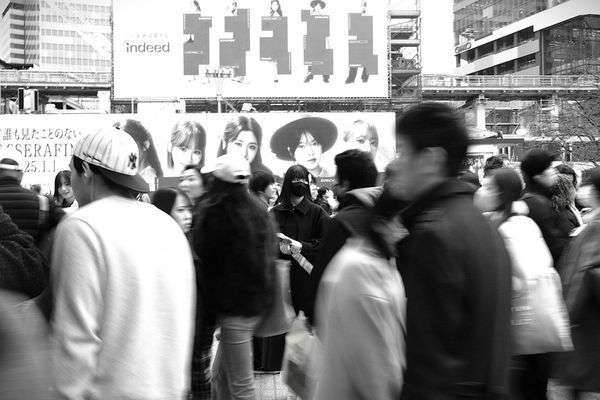 フリーランスという孤独な自由 ― 50代から始める自己責任人生