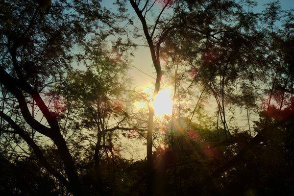 コレステロールと上手に暮らす──数字の見方と食卓の小さな工夫